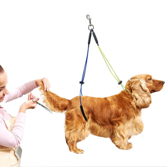 Pet Grooming Leash For Dog Grooming Table, Fix Pets, Comfortable Foam Collar, Portable Spring Hook For Dog Grooming, Suitable For Most Pet Grooming Tables