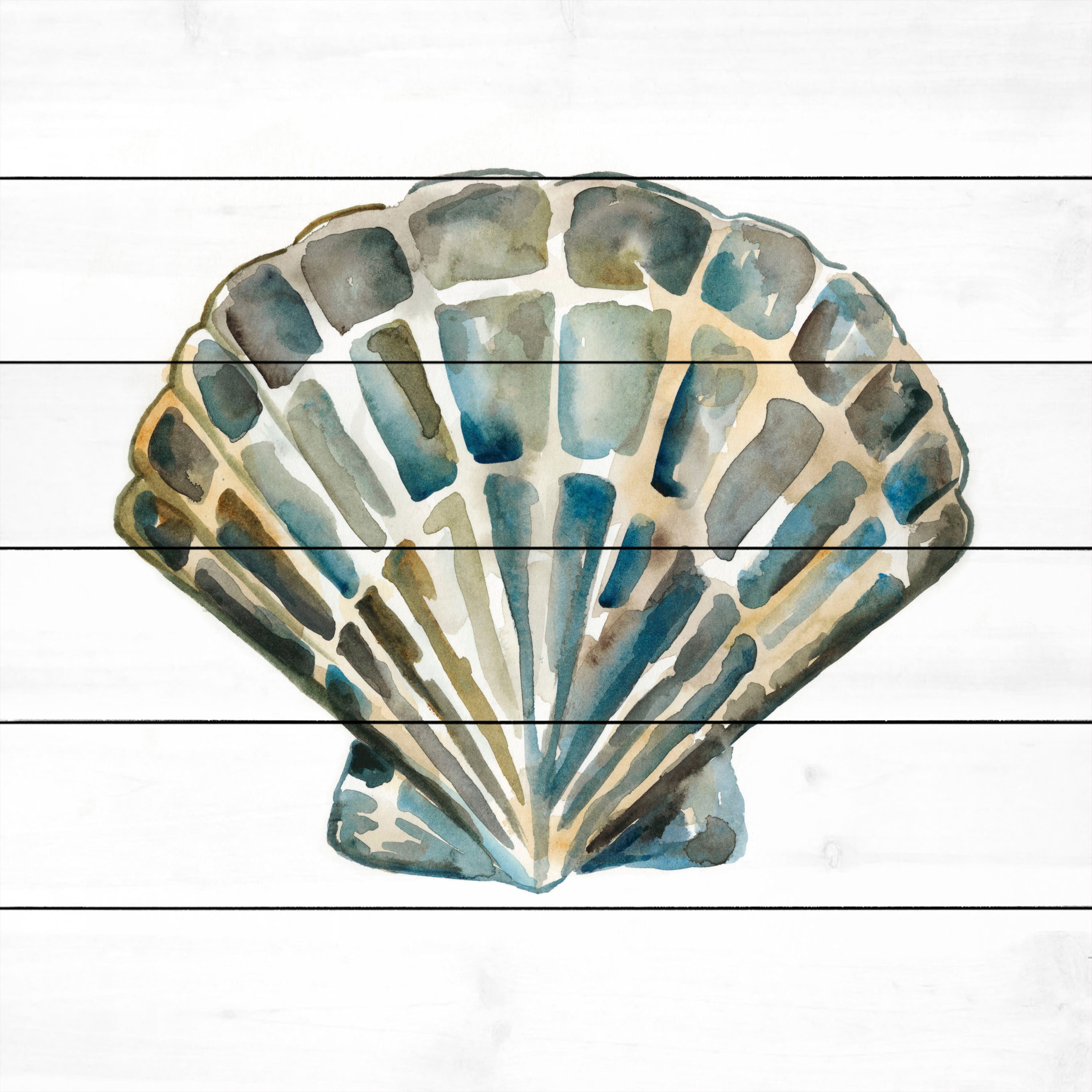 Marmont Hill "Aquarelle Shells IV" Painting Print on White Wood