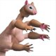thumbnail image 1 of Juego de Marionetas de Dedo de Ardilla E, Accesorios de Teatro para EspectáCulos de Marionetas de Animales, Juguetes Novedosos, Regalos de Cosas Raras, 1 of 9