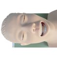 thumbnail image 3 of INTBUYING Teaching Study Model Airway Management Trainer Intubation Manikin, 3 of 10