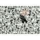 thumbnail image 2 of Puzzle Ravensburger Star Wars de 1000 piezas con diseño único, 2 of 5