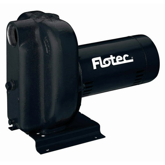 Flotec FP5252 Cast Iron Sprinkler Pump 2 HP