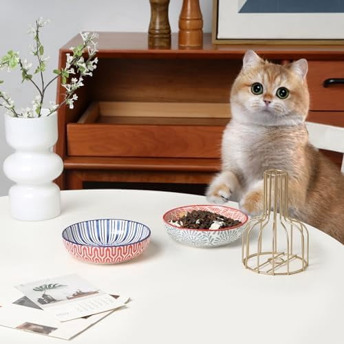Ceramic Cat Food Bowl Set of 4, 5.6 Inch Wide Shallow Cat Bowls/Dishes for Food and Water, Assorted Colors