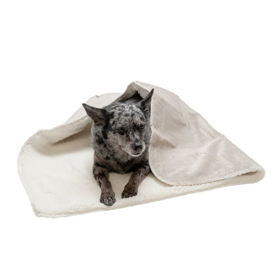 FurHaven Pet Throw Blanket | Waterproof Snuggly & Warm Faux Lambswool & Terry Pet Throw Blanket, Dove, Medium