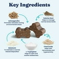thumbnail image 6 of Solid Gold Calming Supplement for Dogs, for Anxiety and Stress Relief, Bacon 60 Count, 6 of 10