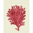 thumbnail image 3 of Fab Funky 12x14 Black Modern Framed Museum Art Print Titled - Corals Coral On Cream d, 3 of 5