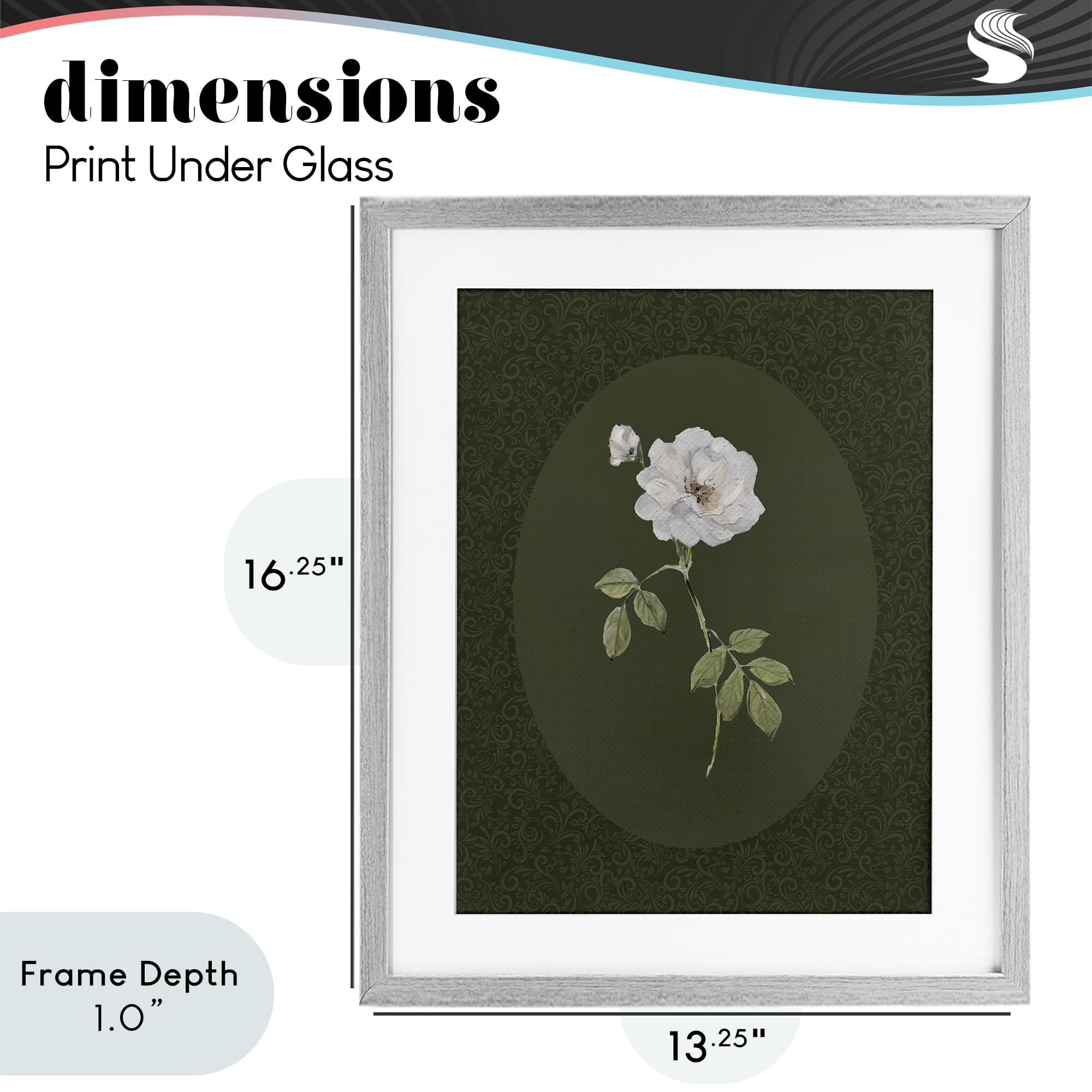 Stupell Industries White Rose on Emerald Gray Framed Print Under Glass, design by Sally Swatland