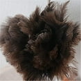 thumbnail image 3 of Feather Duster Ostrich Feather Ostrich Feather Duster Natural, 3 of 3