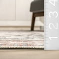 thumbnail image 4 of nuLOOM Layna SpinClean Machine Washable Distressed Vintage Area Rug, 4' x 6', Layna Light Grey, 4 of 12