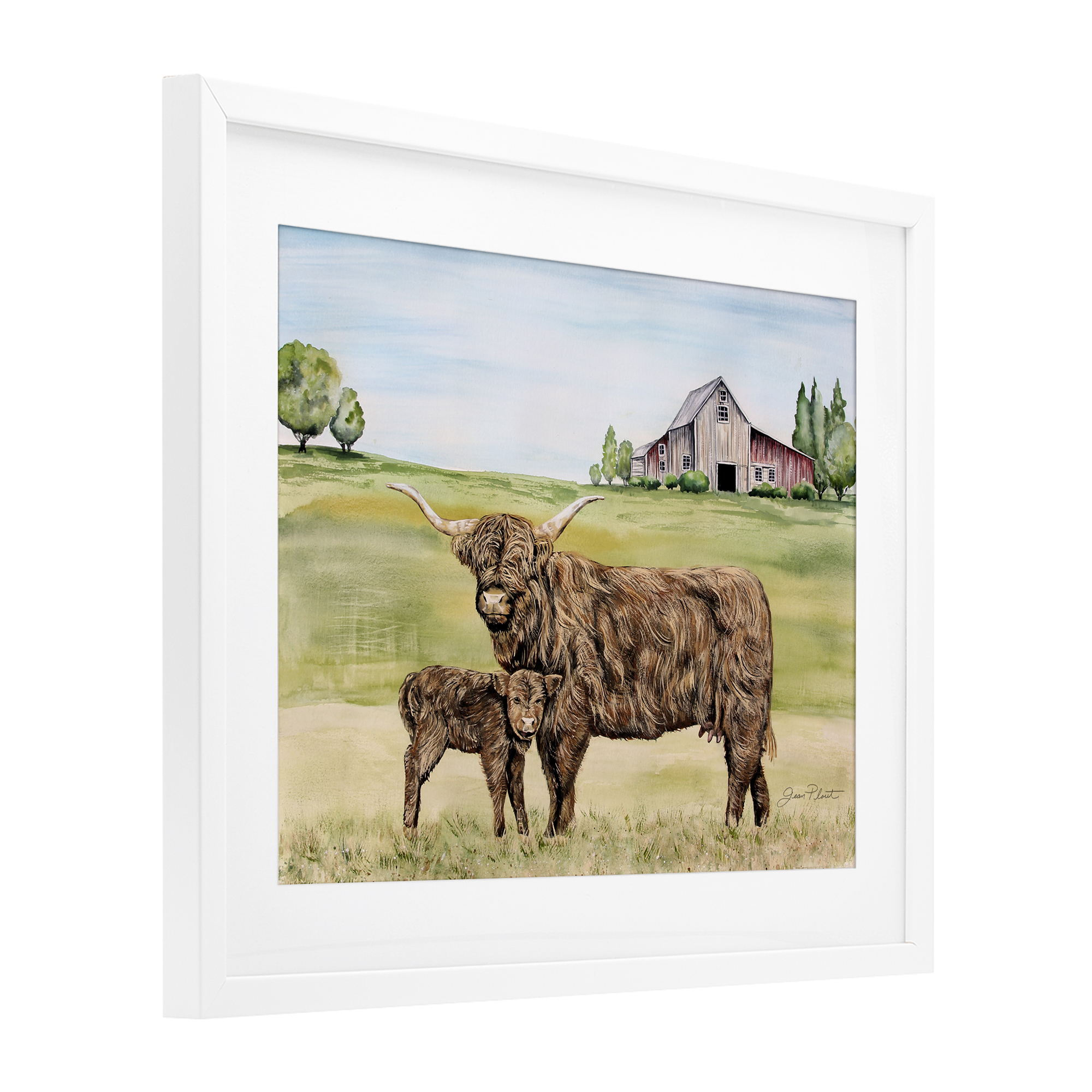 Highland Cow And Calf White Framed Print Under Glass, design by Jean Plout
