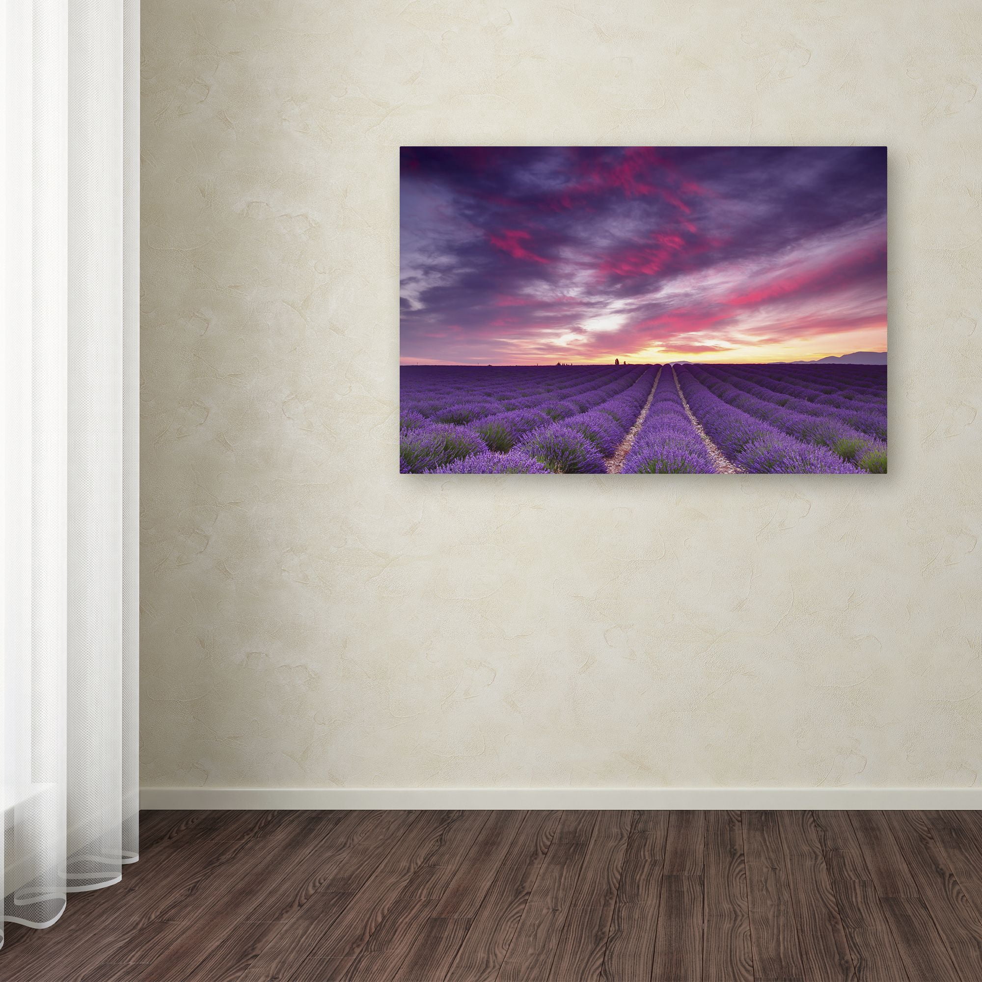 Trademark Fine Art 'Pink and Purple' Canvas Art by Michael Blanchette Photography