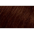 thumbnail image 1 of SoColor Mélangé 5BC Brun Moyen Blond Cuivré, 1 of 1