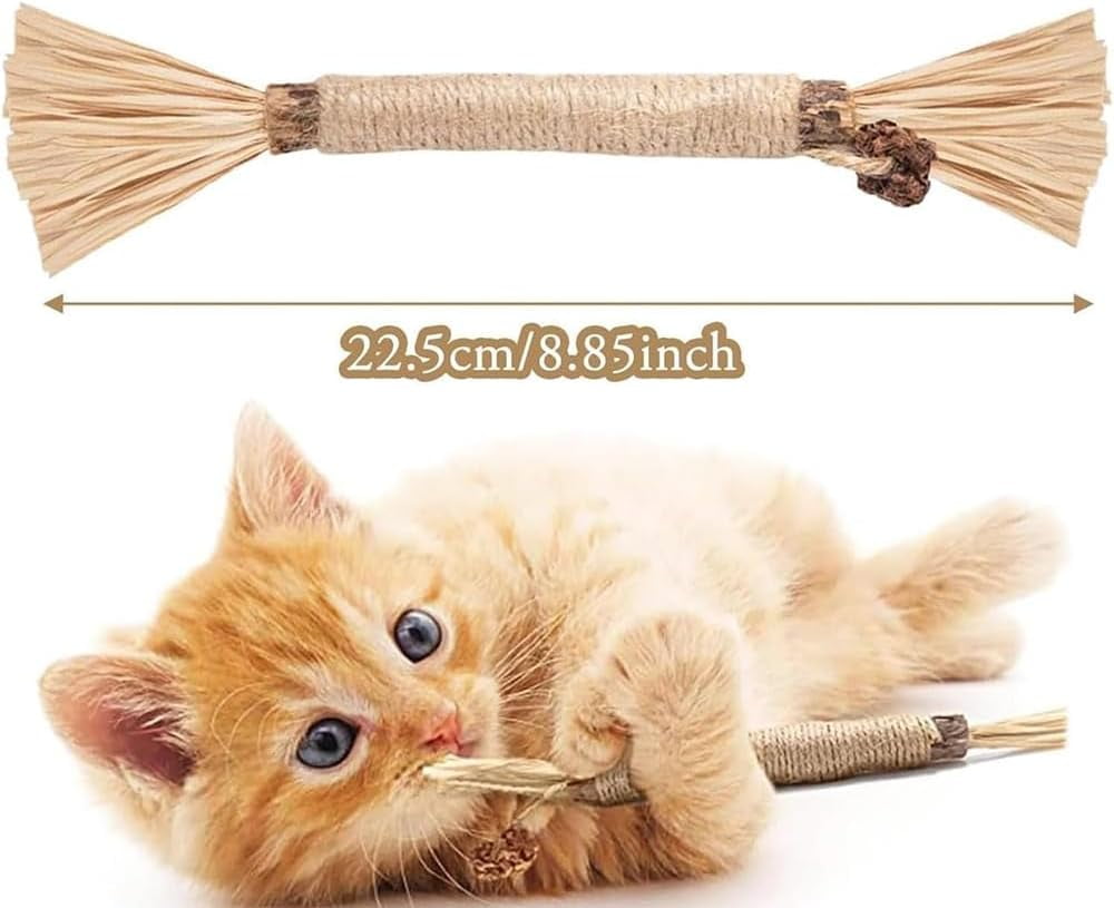 Elystria Silvervine, Elystria Natural Silvervine Dental Sticks, Silvervines Sticks for Cats, Interactive Kitten Chew Playthings, Pets Cat Chew Stick Toy, for Cats Teeth Cleaning