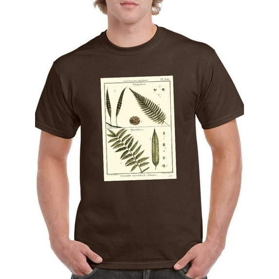 Fern Classification I T-Shirt Men -Denis Diderot Designs, Male XX-Large