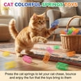 thumbnail image 3 of 100Pcs 5Colors Cat Springs Toys for Indoor Cats, Interactive Self-Play Hunting Toys for Kittens, Biting & Swatting Creative Cat Coils Toys, 3 of 6