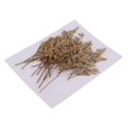 thumbnail image 1 of 20 Piezas naturales de Limonium Gloria Flores secas prensadas, 1 of 9