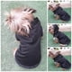 thumbnail image 2 of Jersey con capucha para perro o gato Mi Baúl Negro Talla 2, 2 of 4
