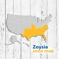 zoysia-500-sq-ft-sod-pallet-walmart