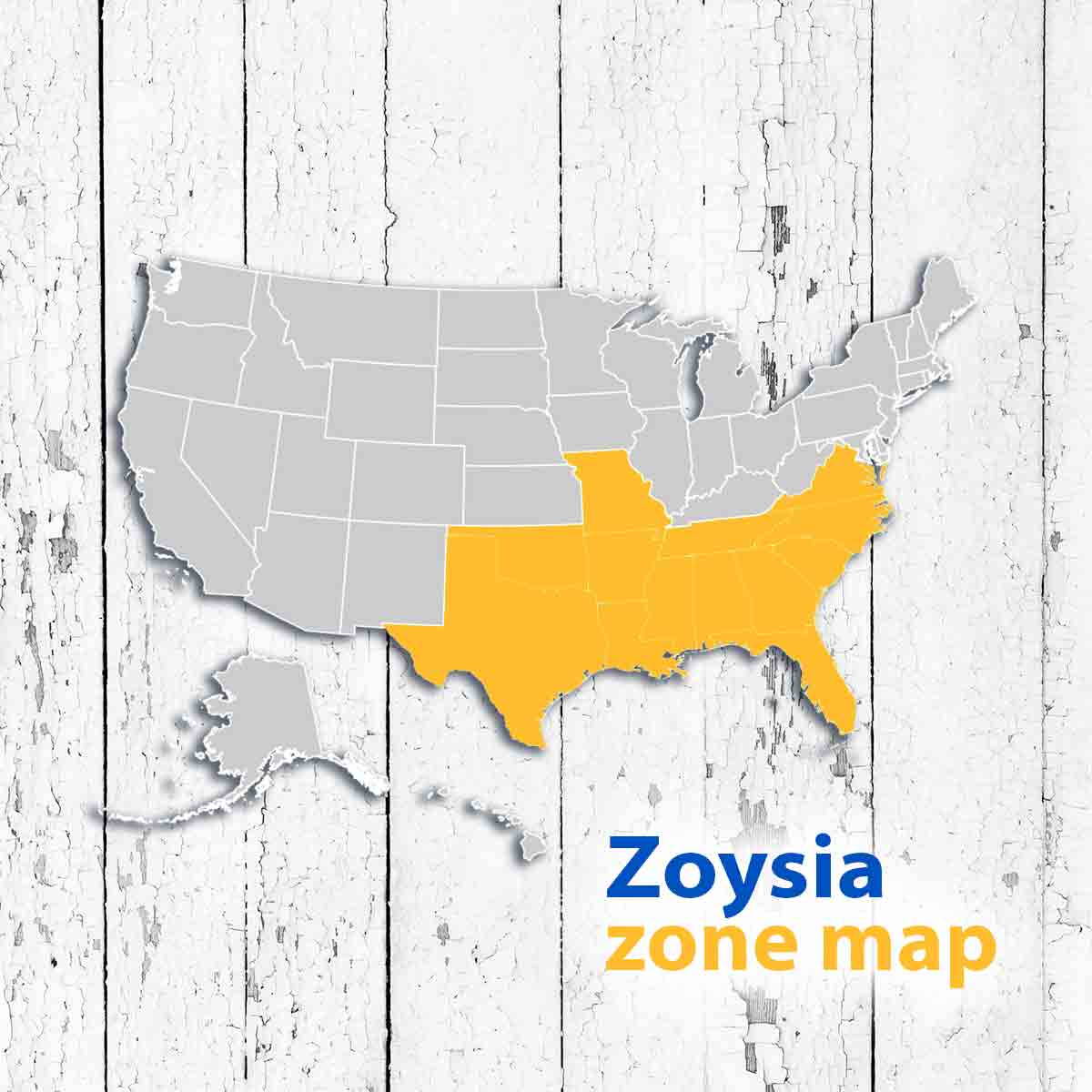 Zoysia 500 Sq Ft Sod Pallet Walmart Zoysia 500 Sq Ft Sod Pallet Walmart