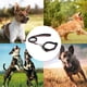 thumbnail image 5 of Dinheiro Collar para perro reflectante suave correa cómoda seguridad ajustable nailon impermeable,, 5 of 5