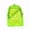 Green, variant on Hot Sales 2026 Green Neon Transparent Backpack Clear Bookbag Diagonal Front Zipper Pocket Adjustable Side Buckles See Through Backpack for Concert Sports Festival School Travel Women Teens
