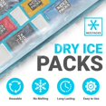 thumbnail image 2 of Paquetes de Hielo Seco Reutilizables Nice Packs para Envío de Alimentos (10 Hojas), 2 of 9