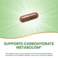 thumbnail image 5 of Nature's Way Cinnamon Premium Extract Capsules, Supports Blood Sugar Metabolism*, Unisex, 120ct, 5 of 9