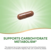 Natures Way Cinnamon Premium Extract Capsules, Supports Blood Sugar Metabolism*, Unisex, 120ct