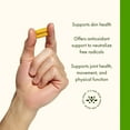 thumbnail image 5 of Swanson Turmeric Root Capsules, 720 mg, 240 Count, 5 of 8
