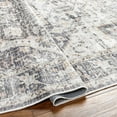 thumbnail image 6 of BoutiqueRugs Bevin Traditional Area Rug - Machine Washable - Natural Gray, Taupe, Smoke - 5'3" x 7'7", 6 of 10