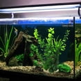 thumbnail image 5 of Acuario, decoración de pecera, conjunto de árbol de plantas de acuario, decoración de pecera, 5 of 5