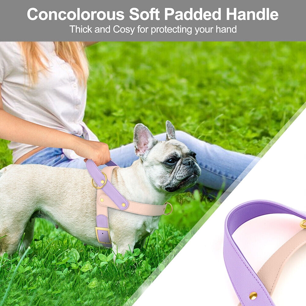 Didog Fashion No Pull Front Leading Dog Harness Soft Leather Adjustable Chest Vest with Handle