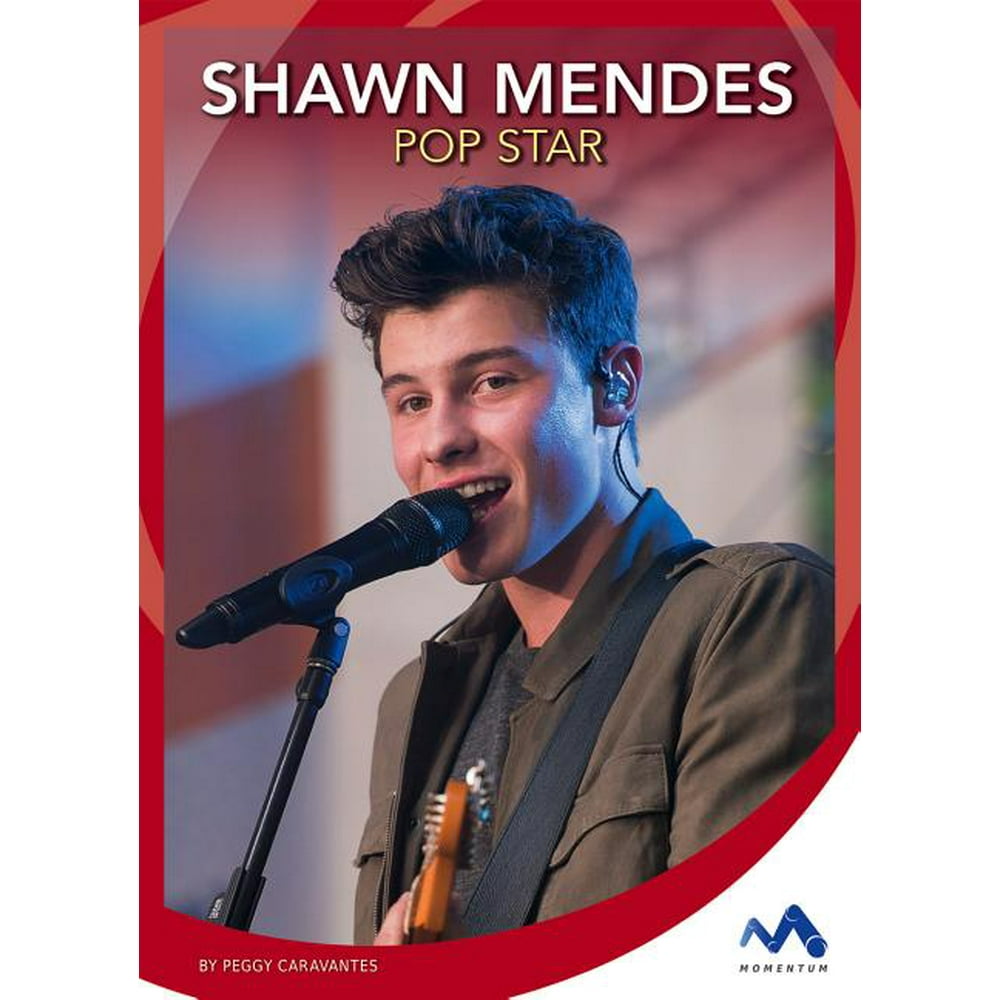 pop figures shawn mendes