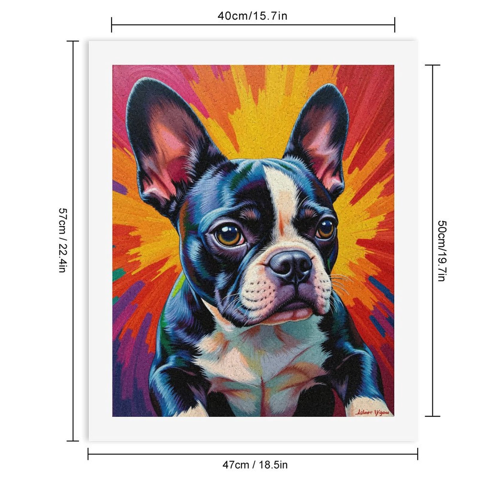 Paint By Numbers Kit for Adults Beginner - DIY Colorful Bulldog Art Explosion Canvas Painting Kits for Adults, Frameless Paint By Number for Adults for Home Wall Decor 16x20 Inch