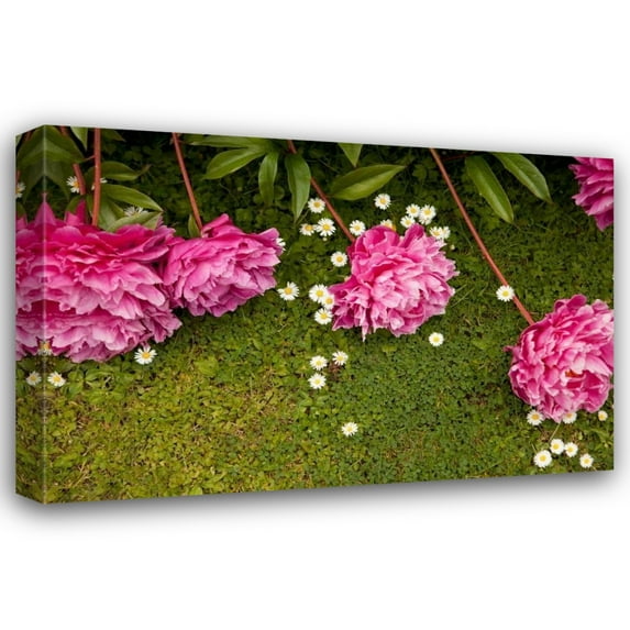Karyn Millet 32x23 Gallery Wrapped Canvas Wall Art Titled - Garden Peonies I