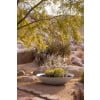 thumbnail image 4 of Veradek Bowl Polyethylene Plant Planter, 4 of 9