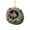 2025 ornaments, variant on 2D Acrylic Animal Pendants, Cute 3D Koala Tree Trunk Holder Design With Wild Animal Theme, For Home Decoration Office Accents And Animal Lover Gifts