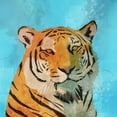 thumbnail image 2 of Roko, Ken 12x12 Gold Ornate Wood Framed with Double Matting Museum Art Print Titled - Indifferent Tiger, 2 of 4