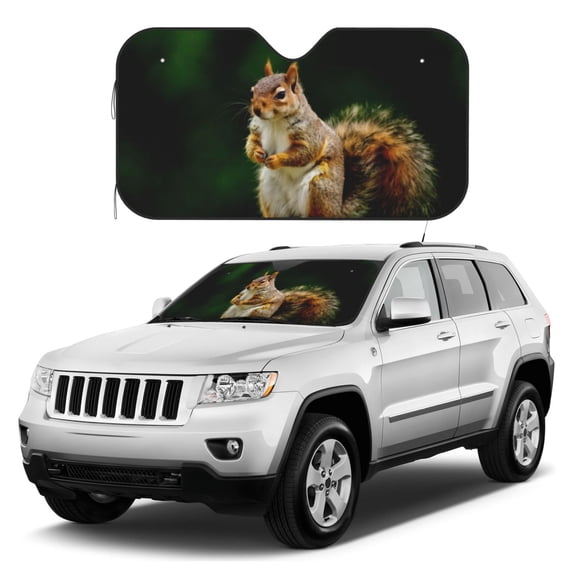 Kdxio Squirrels Eating Peanuts On The Tree Print Windshield Sun Shade, Foldable Sun Blocker for Car,Truck,SUV Automotive Interior Sun Protection,Reflective Shade for Front Windshield(Small)