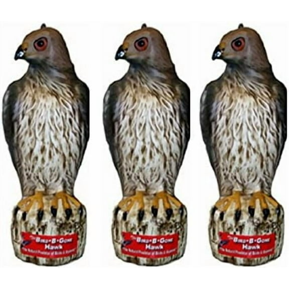 Bird B Gone MMRTH1 Hawk Decoy Bird Deterrent