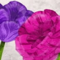 thumbnail image 3 of Grey, Jace 20x20 Black Modern Framed Museum Art Print Titled - Florals, 3 of 5