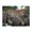 500 Pieces, variant on Leopard Resting On Branch 500-Piece Wooden Jigsaw Puzzle for Adults, Fun & Challenging Family Game, Stylish Wall Decor & Holiday Gift