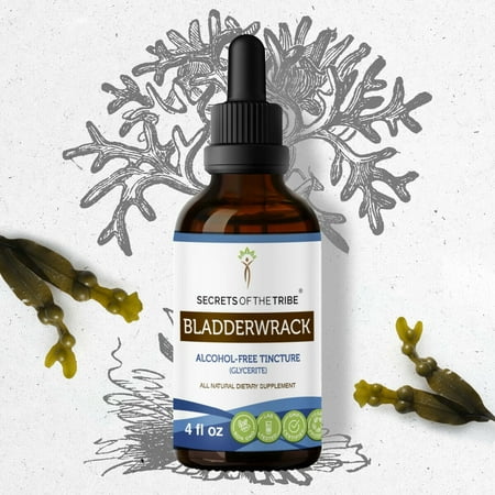 Secrets Of The Tribe Bladderwrack Tincture Dietary Supplement, Natural Herbal Extract for Thyroid Function Support, Bladderwrack (Fucus vesiculosus) Dried Plant, Alcohol-Free Extract, Drops 4 oz