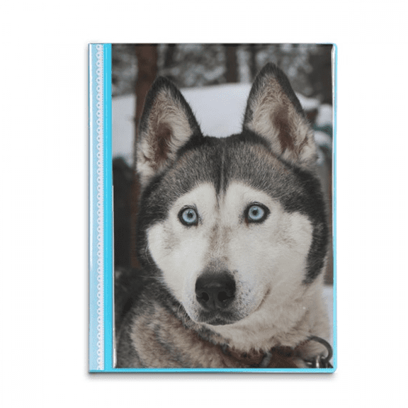 Dog Animal Snow Husky Photography Book Sheet Protectors Portfolio Binder Folder