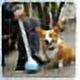thumbnail image 5 of Jinsinto Long Handle Pet Poop Catcher, Folding Portable Solid Serrated Tooth Brushing Pick Up Litter Grabber Remover Pet Tools, 5 of 5