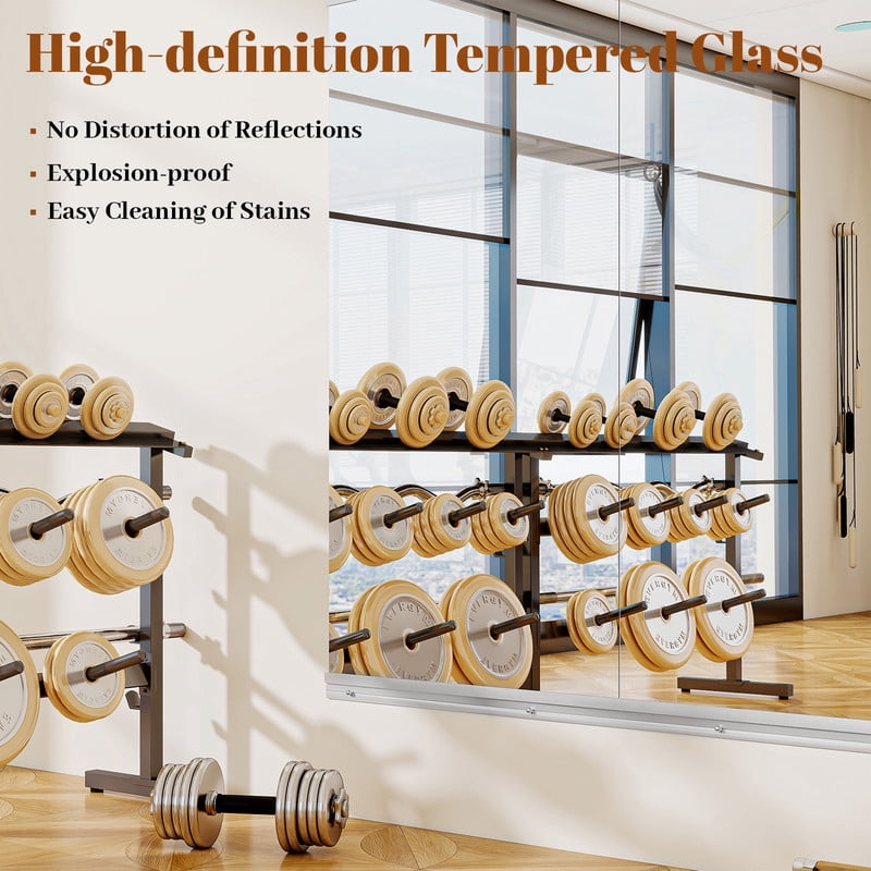 Easy4Home 33"x60"2-Pack Home Gym Mirror Tempered Glass Frameless Full Length Mirror Wall Mounted Yoga Mirror