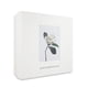 thumbnail image 3 of Set Adolfo Dominguez Gardenia 2Pzs 120Ml Edt Spray/ Body Lotion 75Ml, 3 of 3