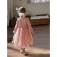 thumbnail image 3 of 2025 Spring Autumn Girls' Dresses 2-7Y Sweet Patchwork Tulle Dresses for Children Stylish Kid's Long Sleeved Princess Dresses, 3 of 6
