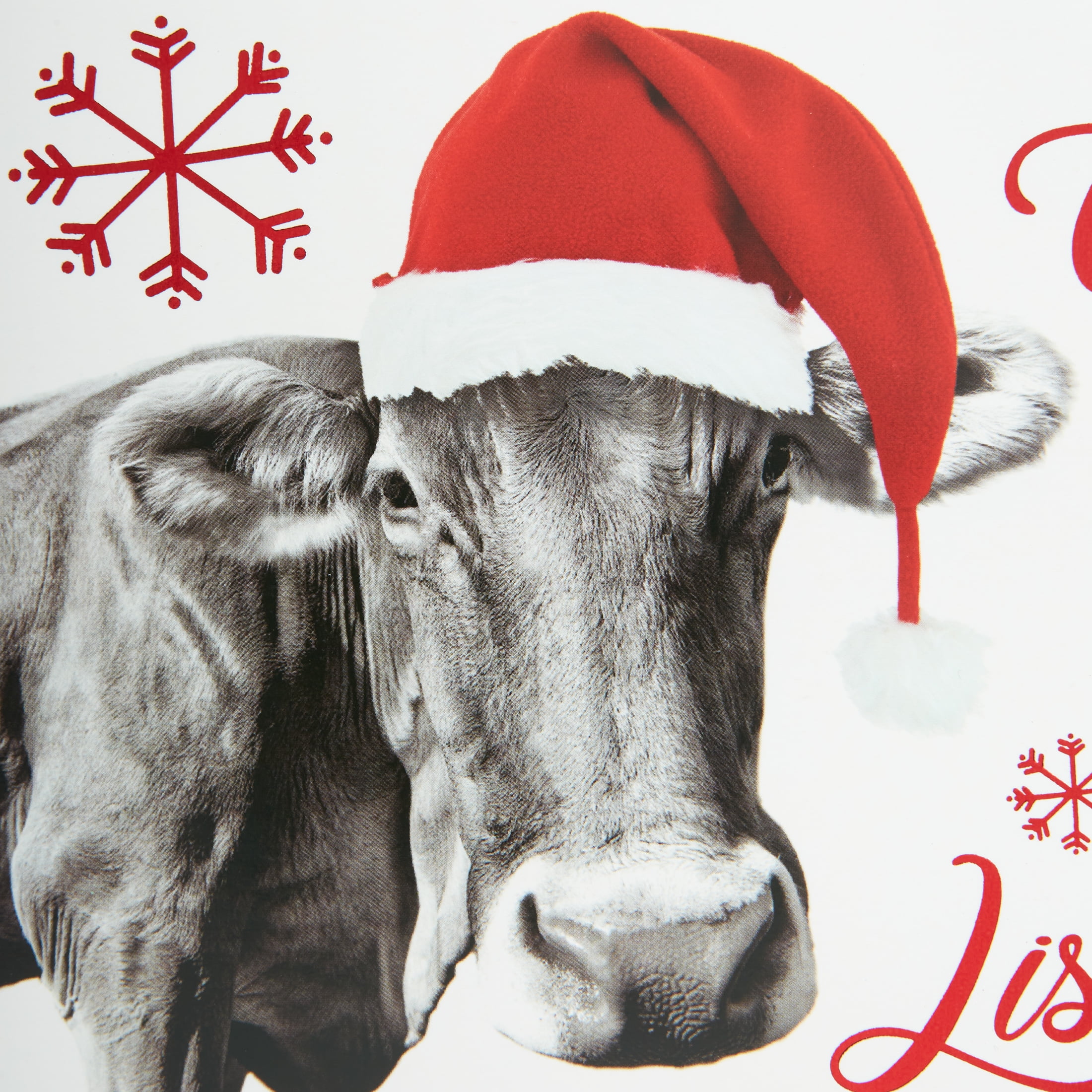 Holiday Time Funny Cow Christmas Card, Photo-Real, Boxed Christmas Cards,  5 x 7, 18 Count