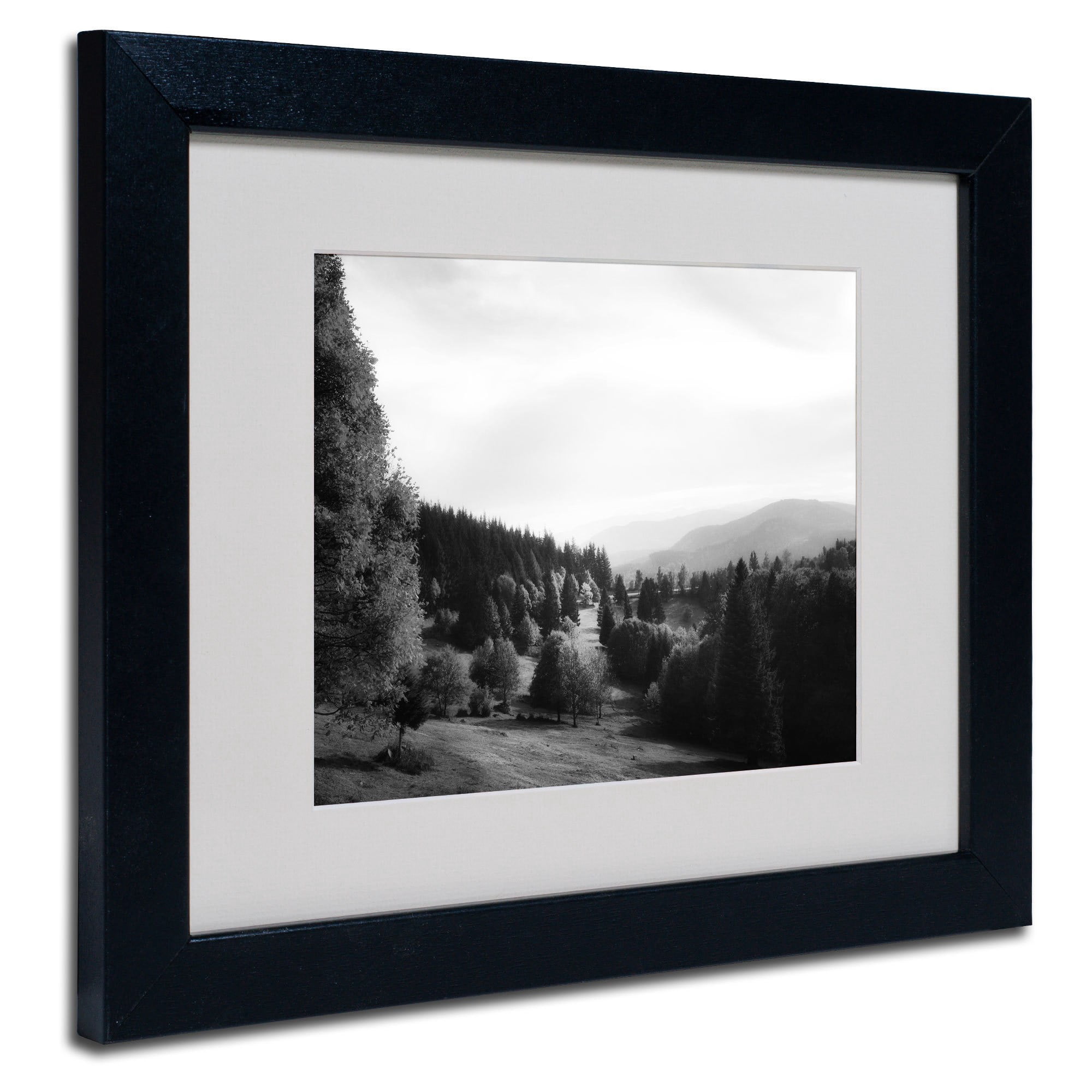 Trademark Fine Art "Spotlight" Canvas Art by Philippe Sainte-Laudy, Black Frame